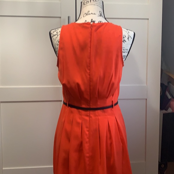 Summer Dress 🍊 - Picture 7 of 7